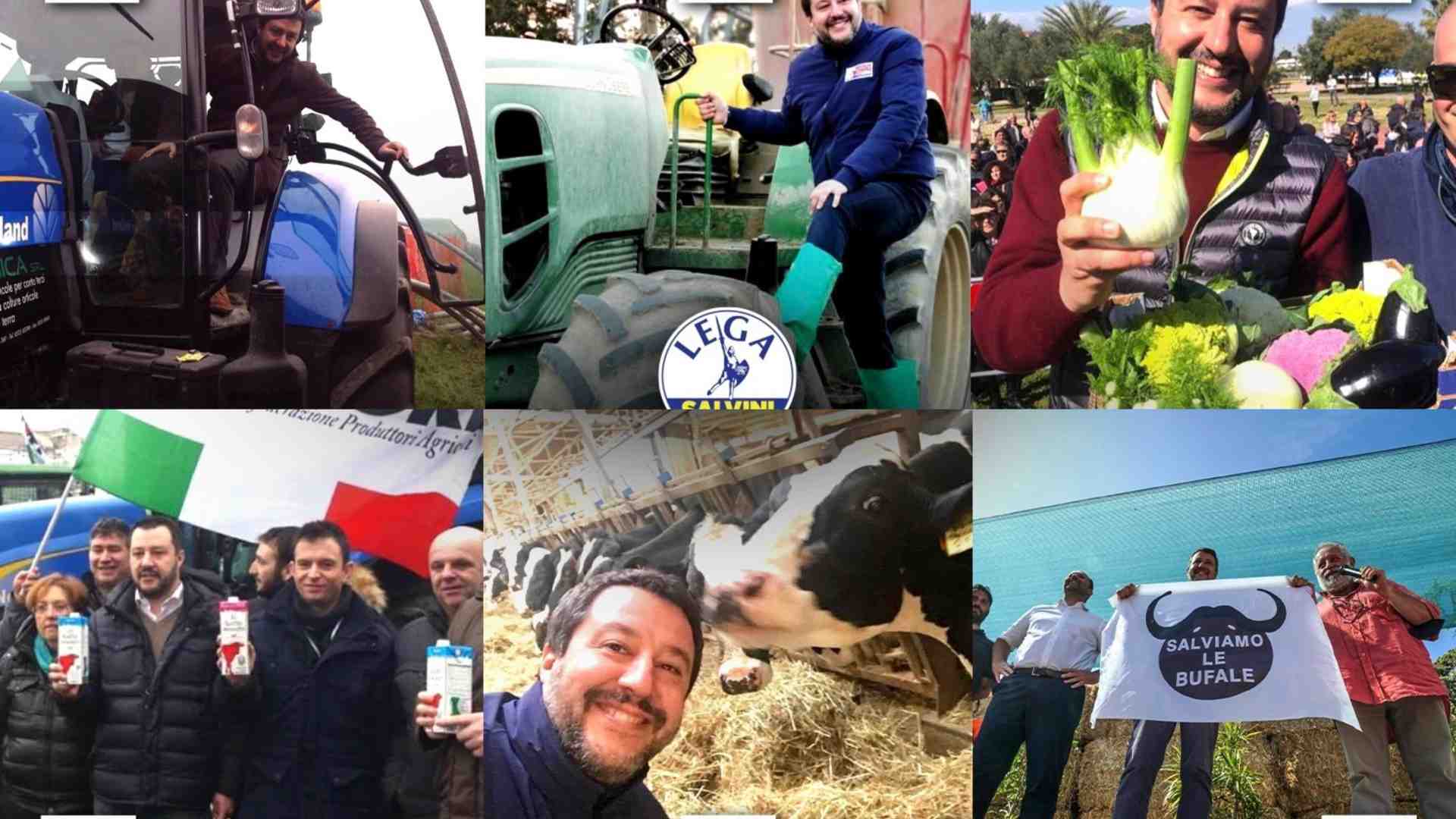 Agro-Salvini contro la farina di grilli: se la prende con Masterchef e ruba la scena al ministro Lollobrigida