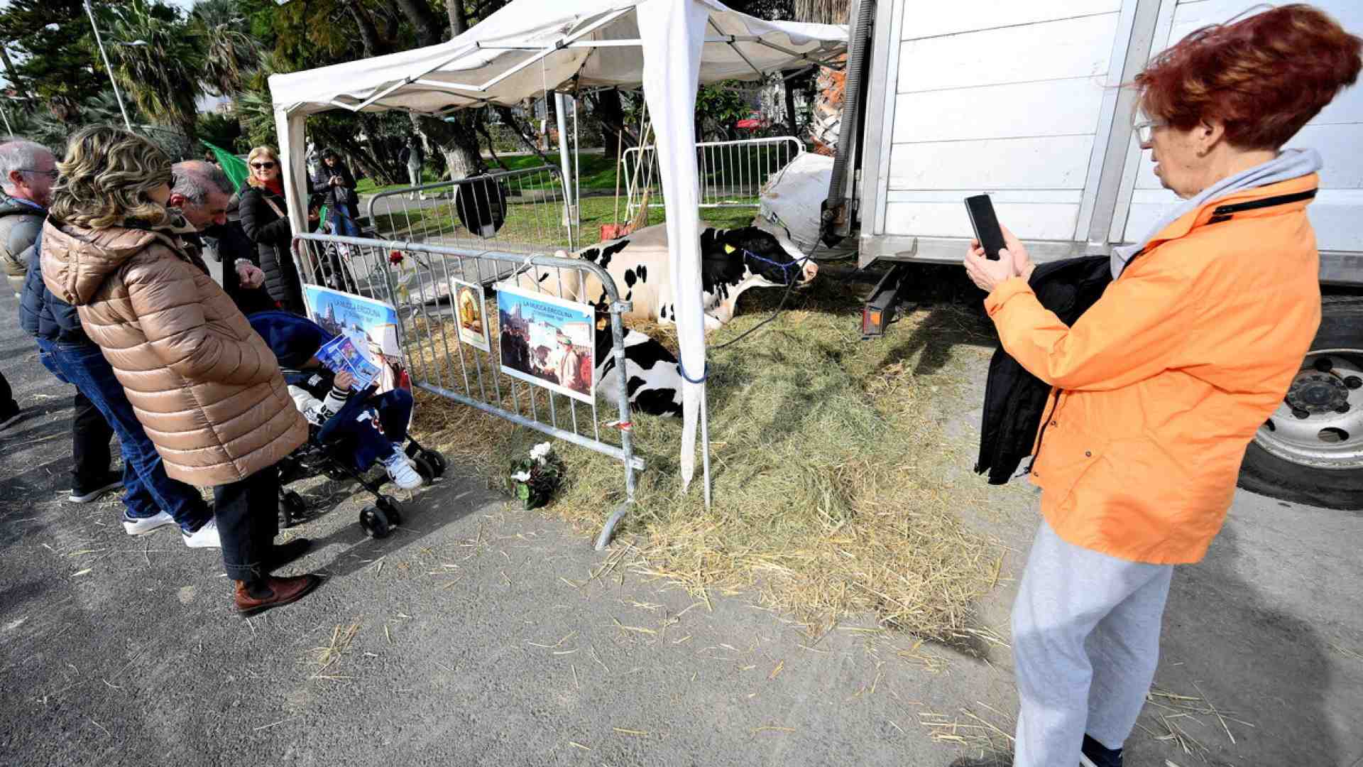 A Sanremo, Festival della protesta italiana, manca solo Ultima generazione