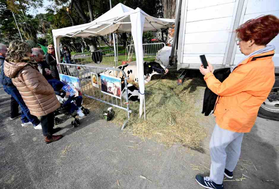 A Sanremo, Festival della protesta italiana, manca solo Ultima generazione