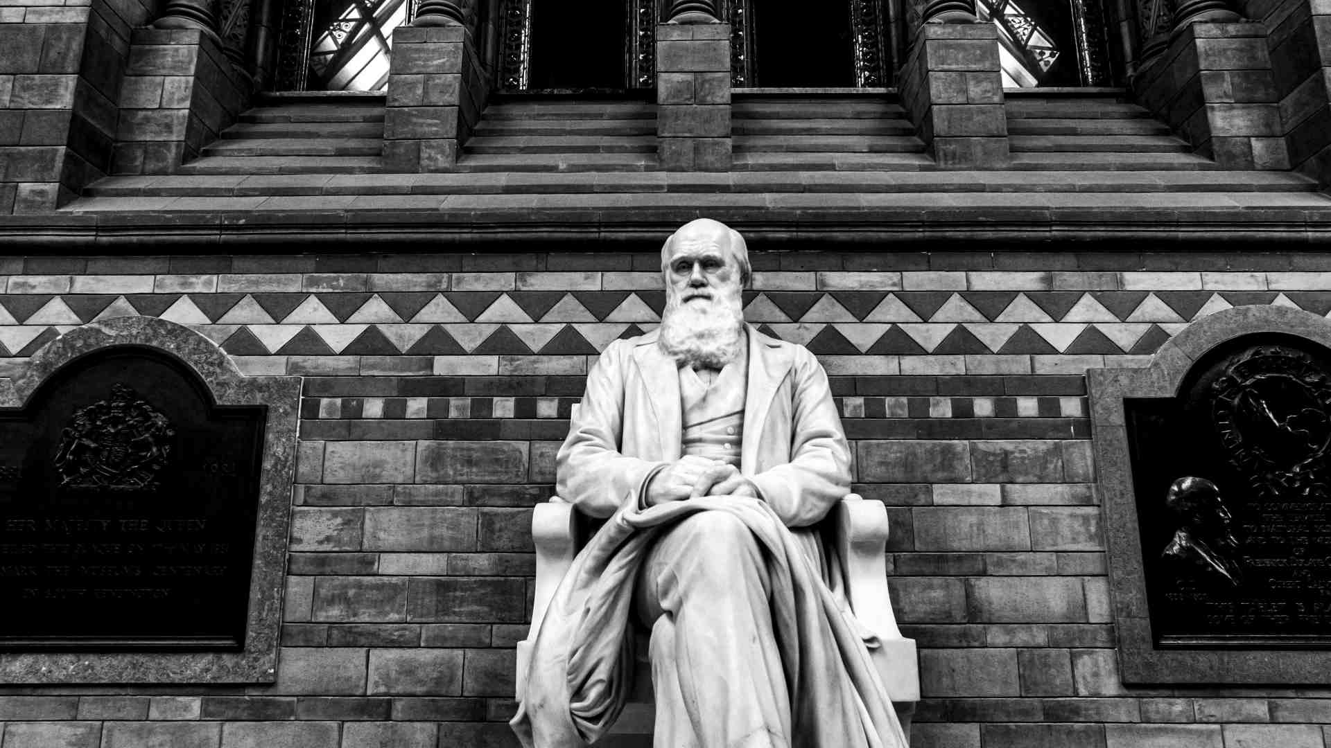La biblioteca di Charles Darwin