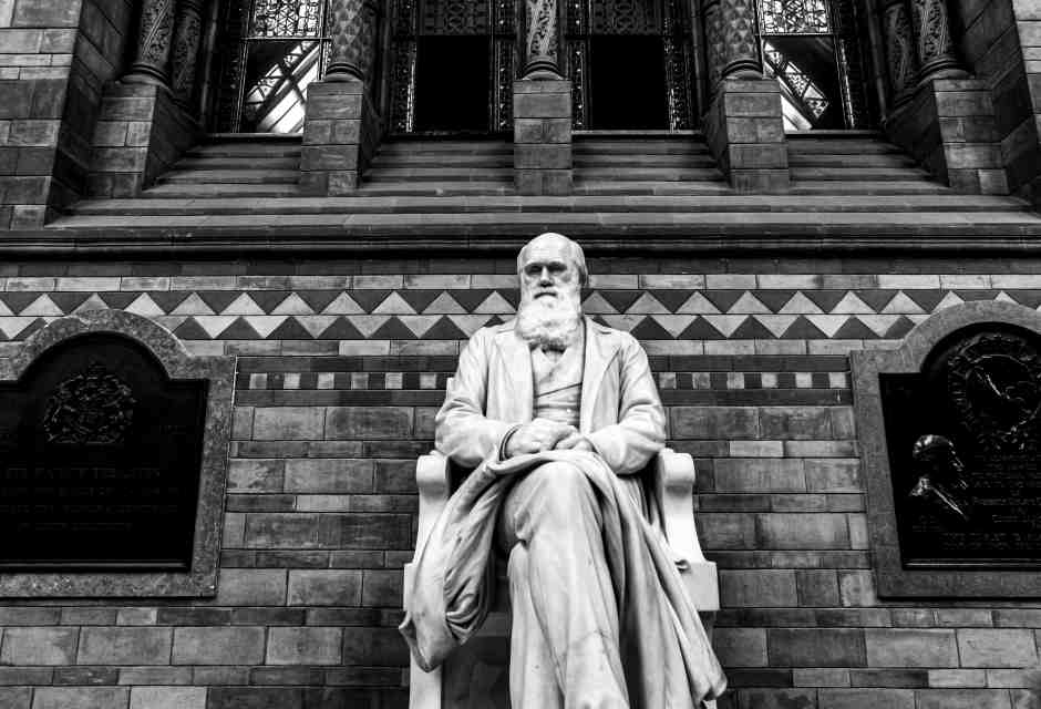 La biblioteca di Charles Darwin