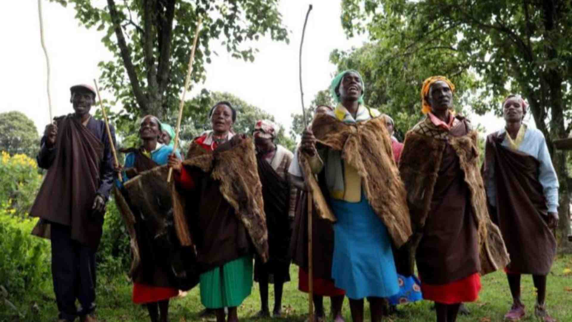 Quote CO2, in Kenya lo scandalo degli indigeni sfrattati dalla foresta venduta