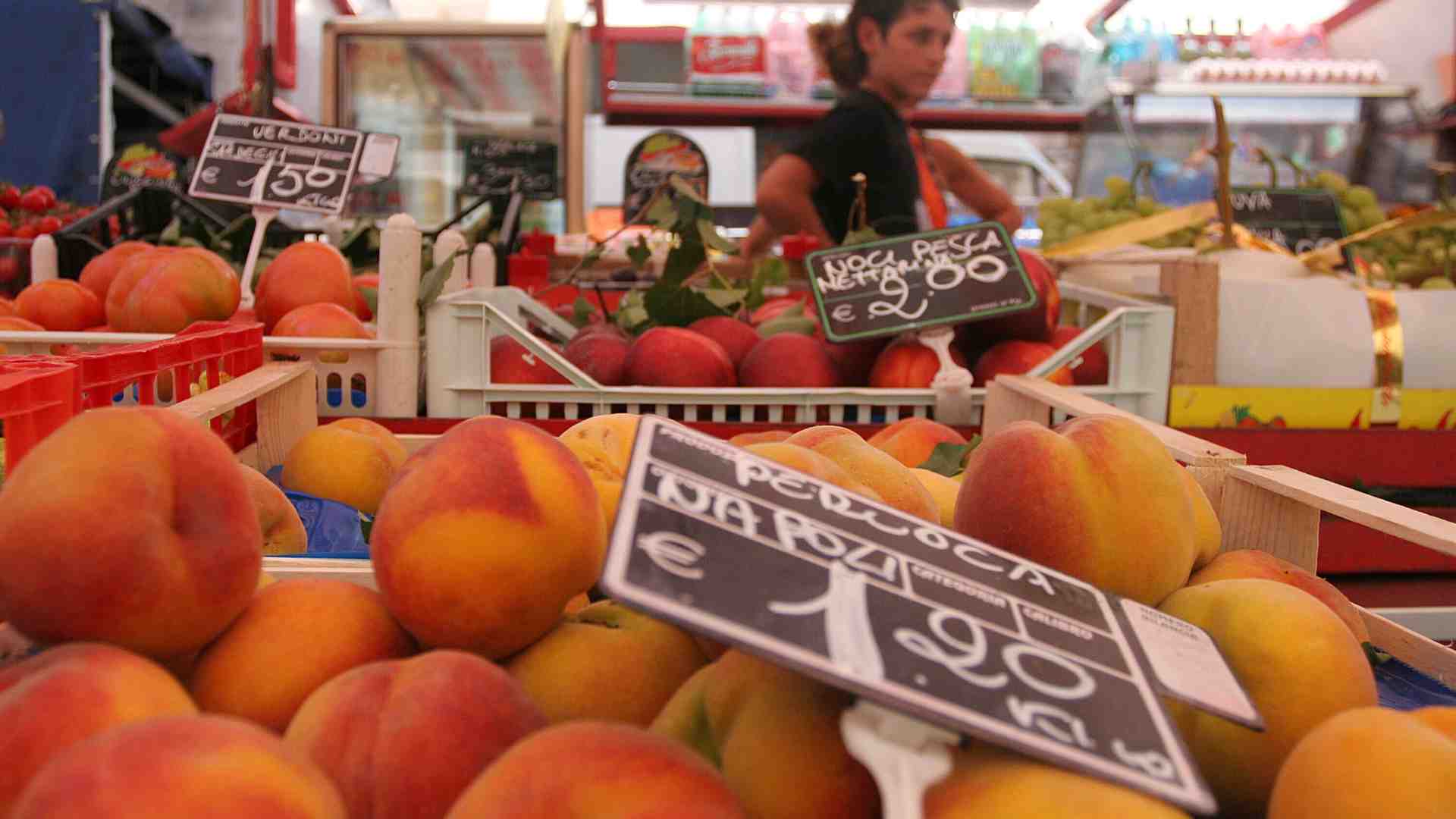 L’ecologista rigido che trasforma ogni discussione in una pièce dell’assurdo