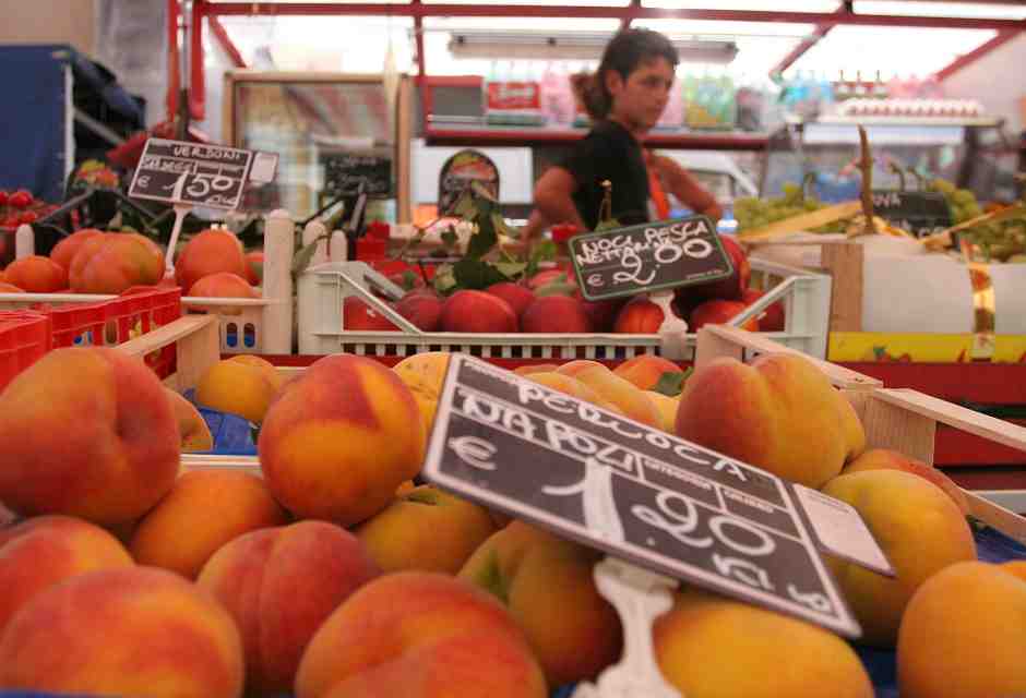 L’ecologista rigido che trasforma ogni discussione in una pièce dell’assurdo