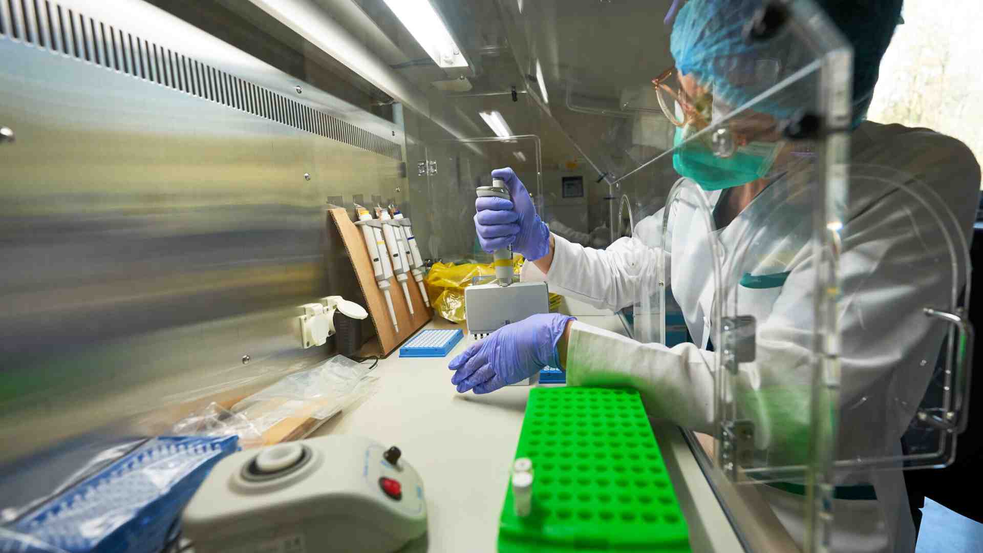 Molto prima dei vaccini anticovid, anche altri esseri viventi scambiavano messaggi usando l'Rna