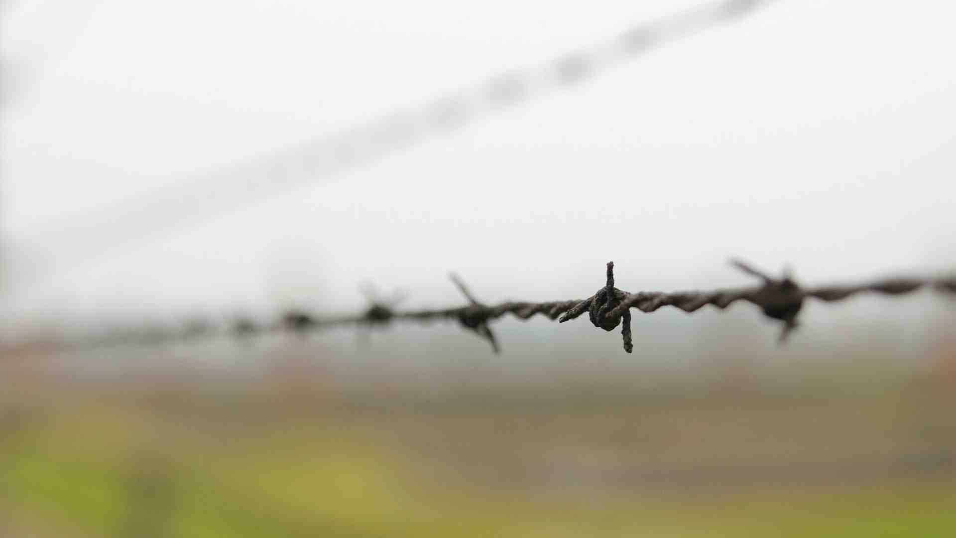 L’ostetrica che ad Auschwitz fece nascere tremila bambini