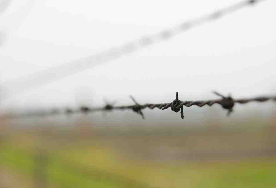 L’ostetrica che ad Auschwitz fece nascere tremila bambini