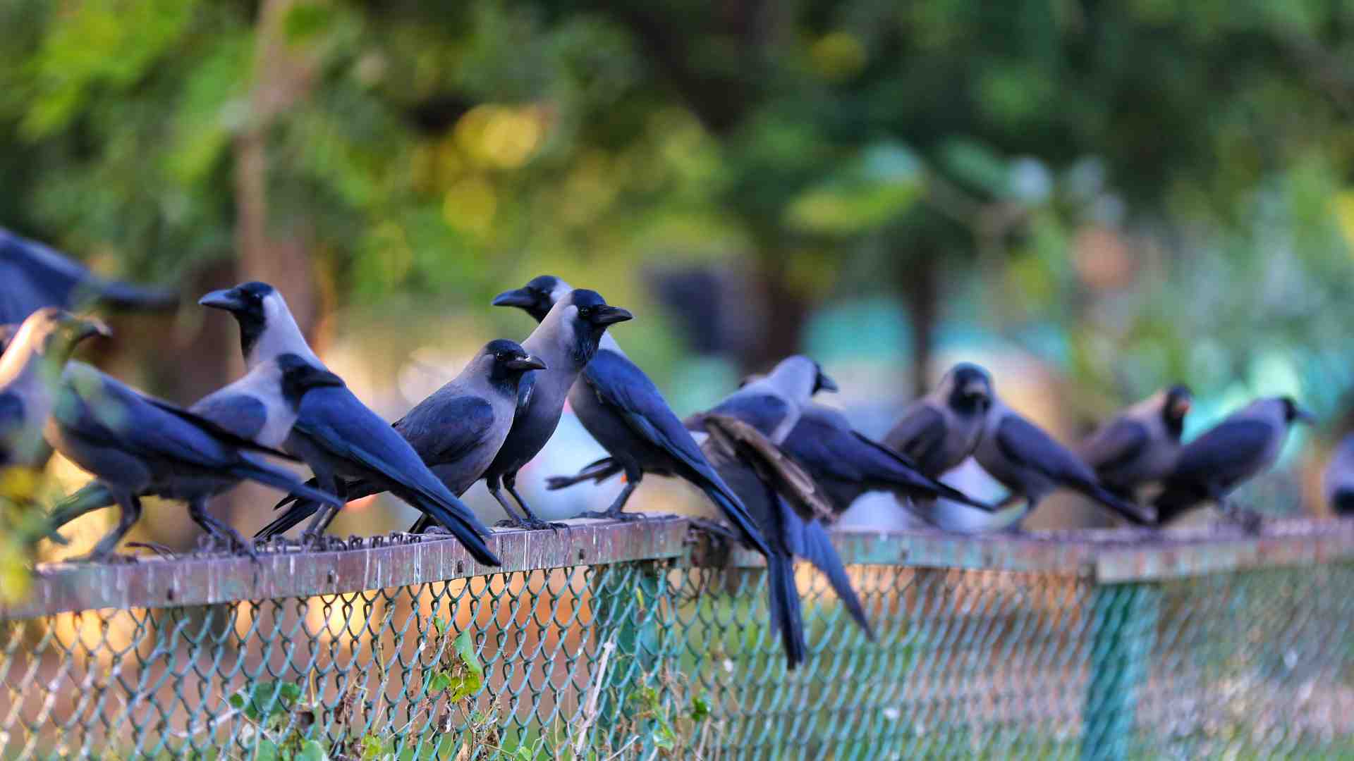 Combattere la disinformazione è parte di una corsa agli armamenti evolutiva