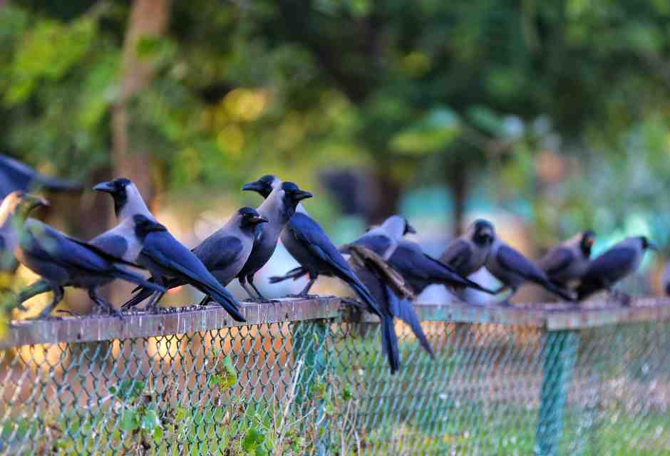 Combattere la disinformazione è parte di una corsa agli armamenti evolutiva