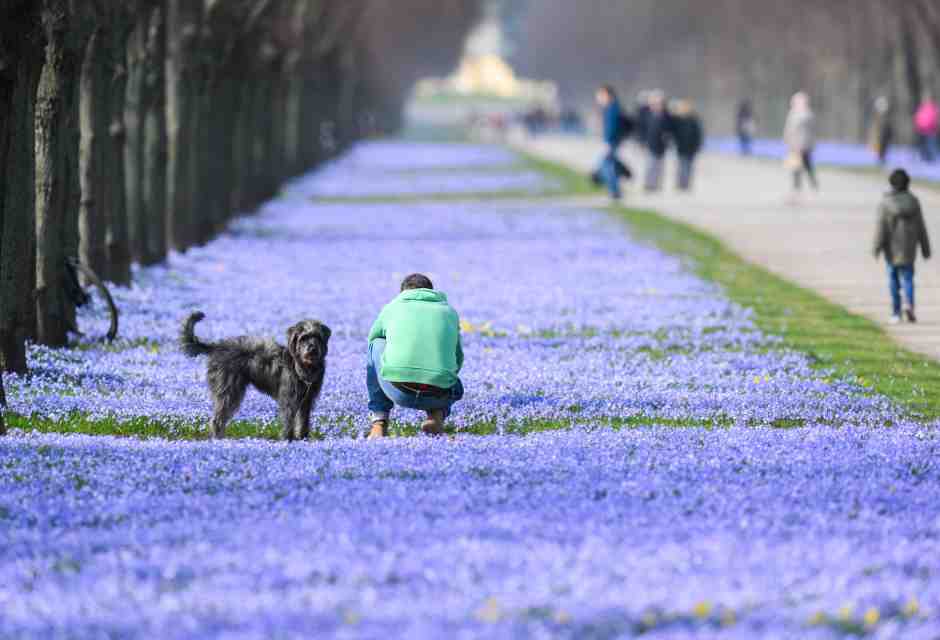 La luce di marzo: è primavera