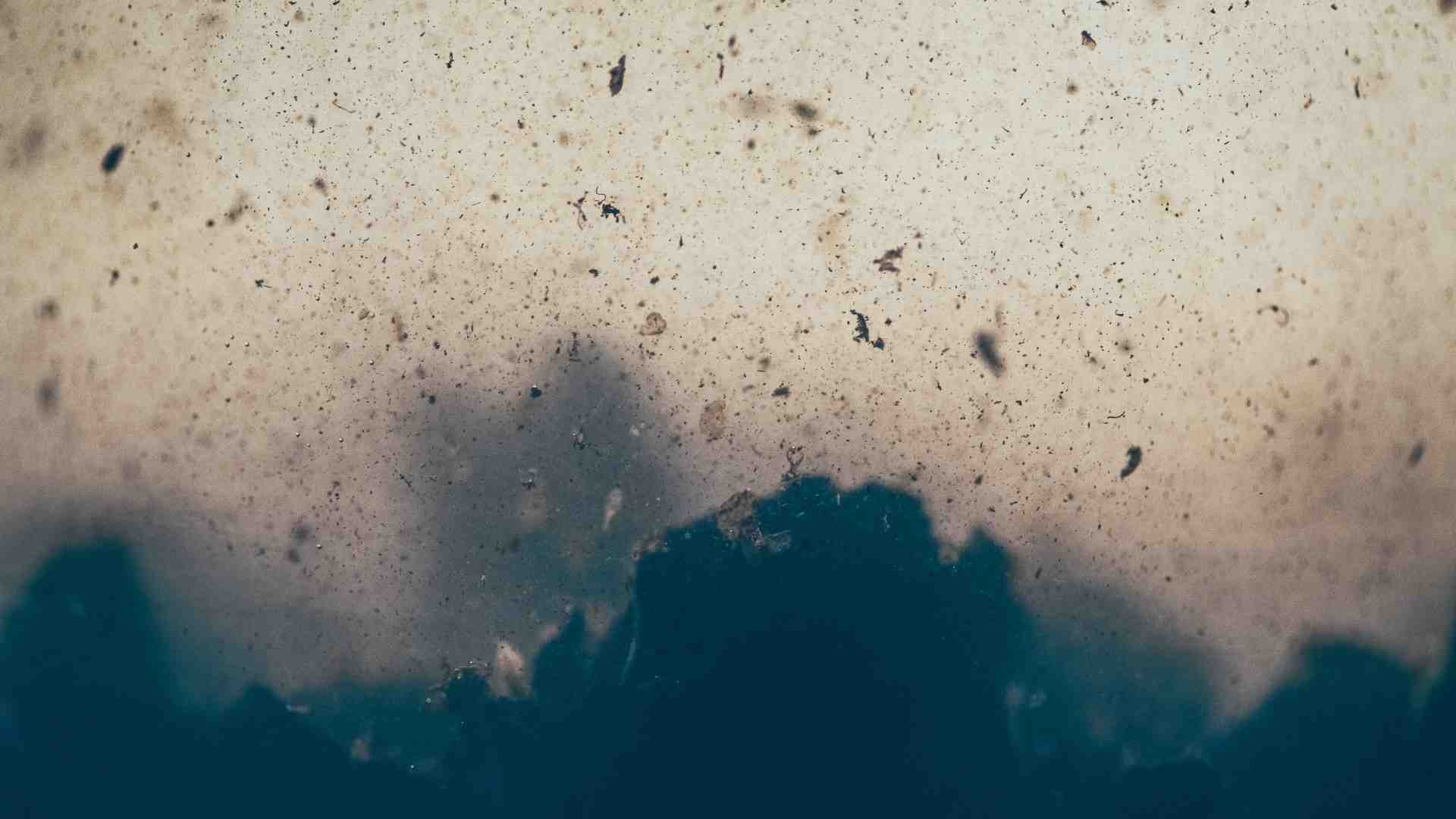 Un batterio in grado di peggiorare la prognosi nel cancro del colon retto