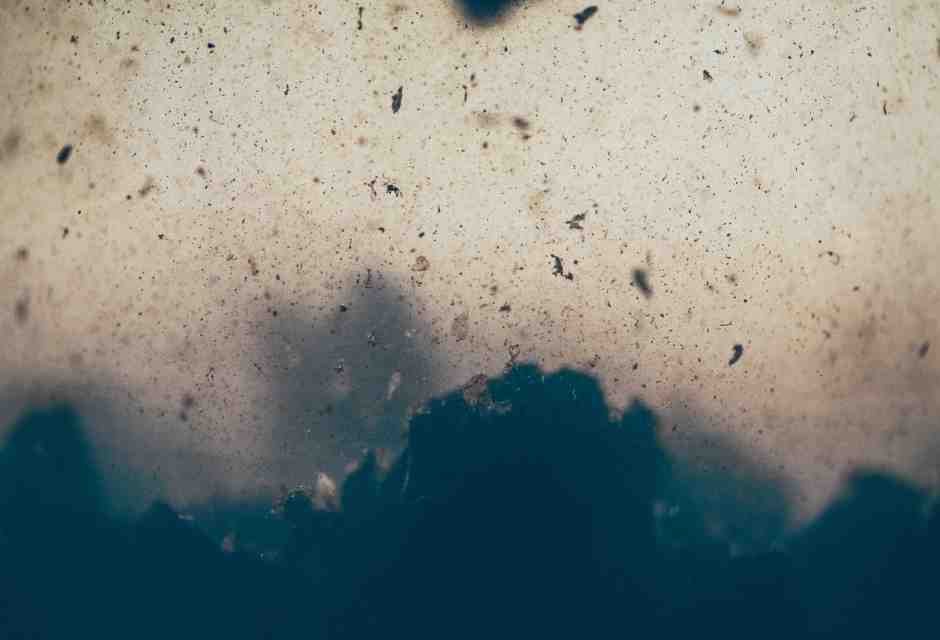 Un batterio in grado di peggiorare la prognosi nel cancro del colon retto