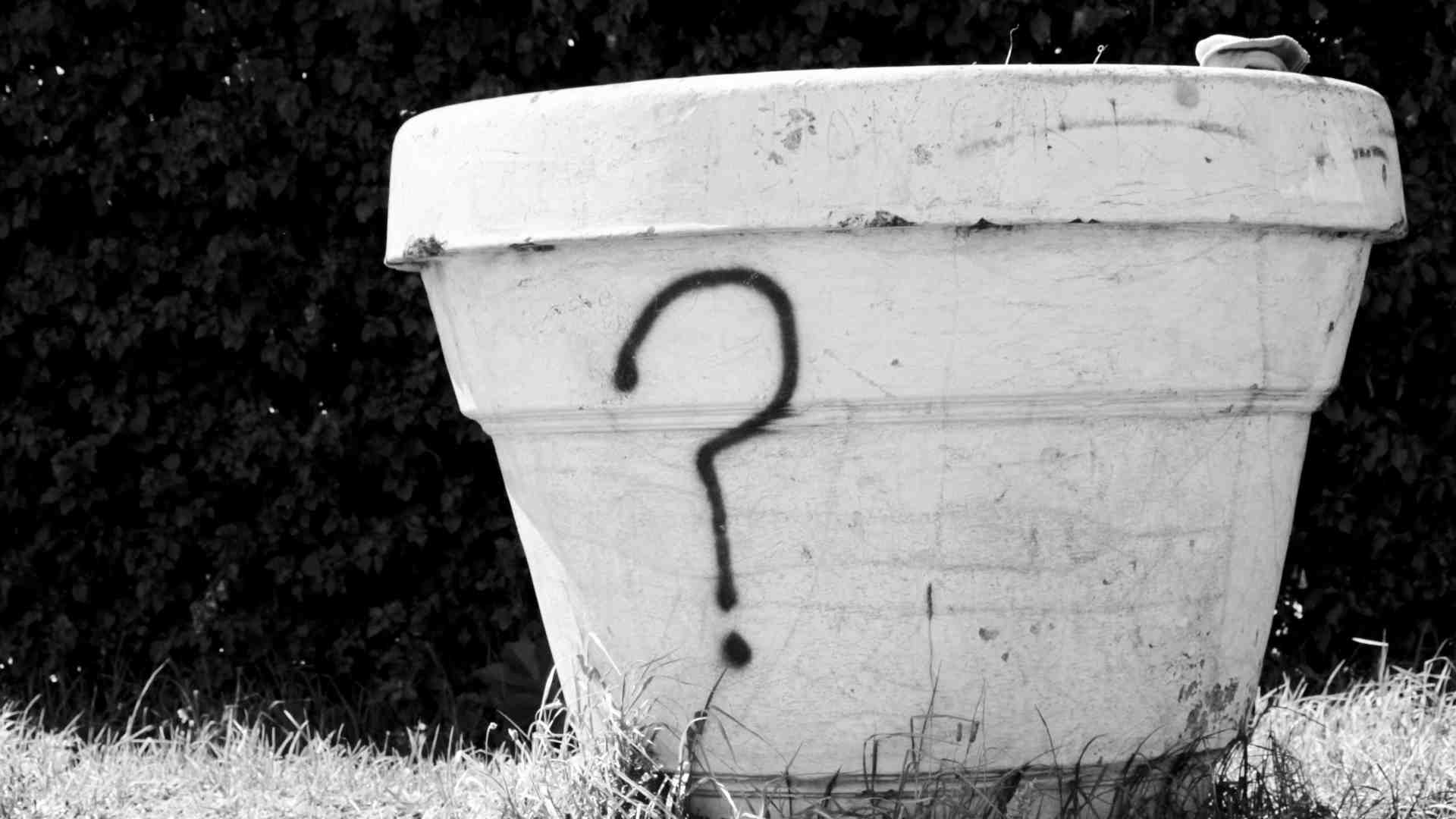 Le domande dei bambini che meritano una risposta onesta