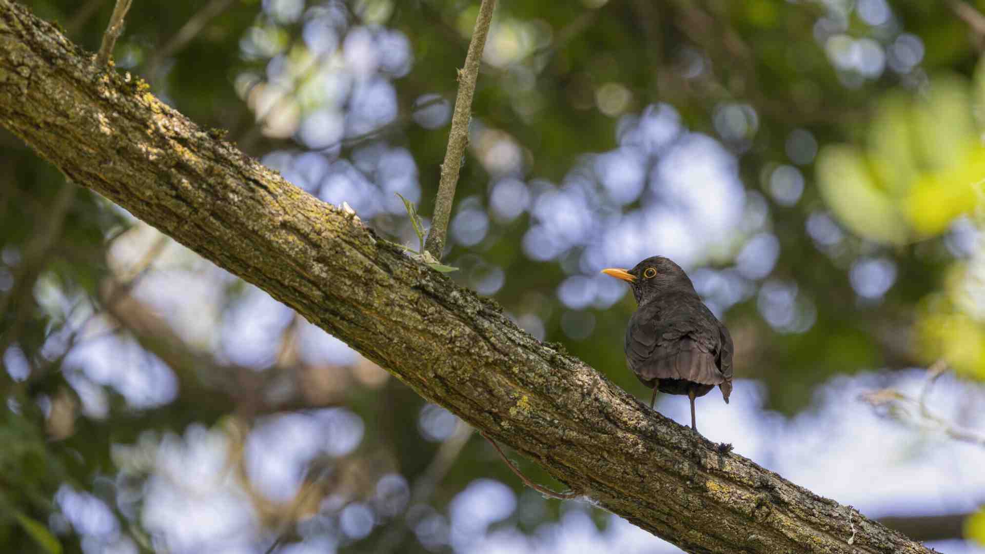 Tornare a casa solo dopo che una figlia parte: un mix tra pace e tormento