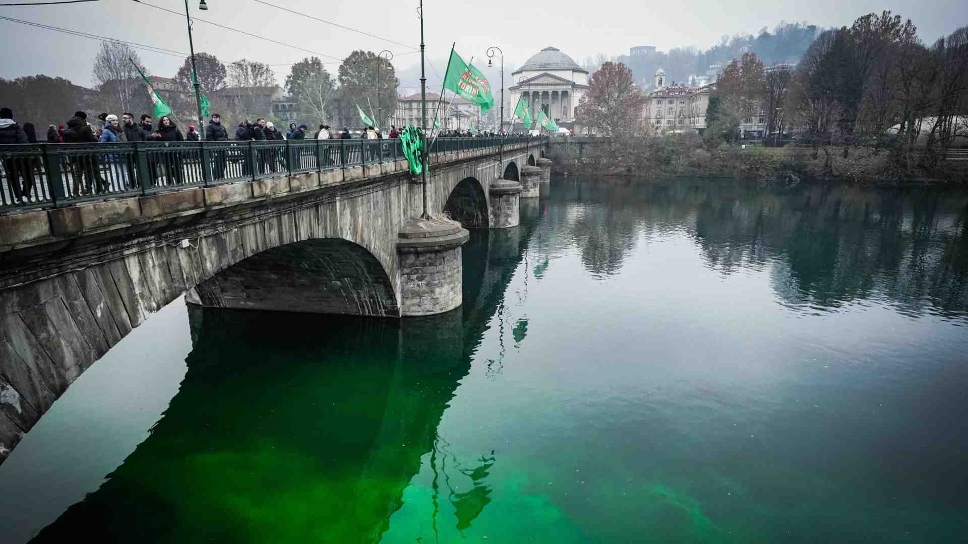 Non c'è nulla di più surreale dell'ambientalismo