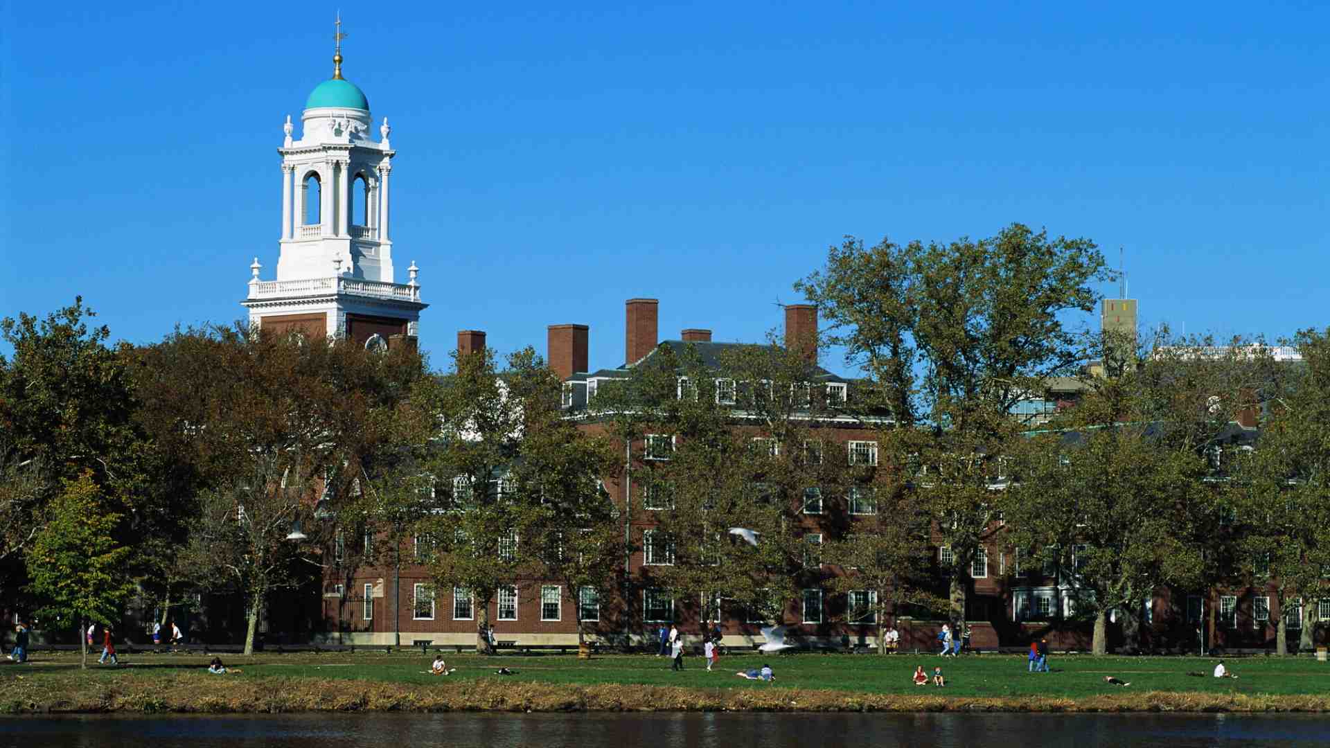 Ora ad Harvard calano le domande di iscrizione