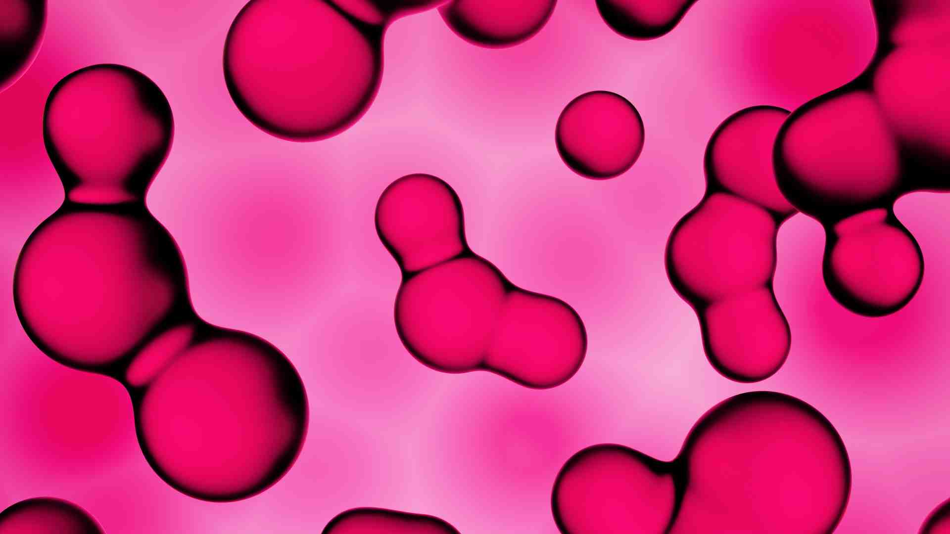 Che cosa è la vita? Domande senza risposta