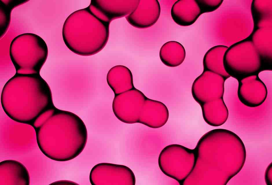 Che cosa è la vita? Domande senza risposta