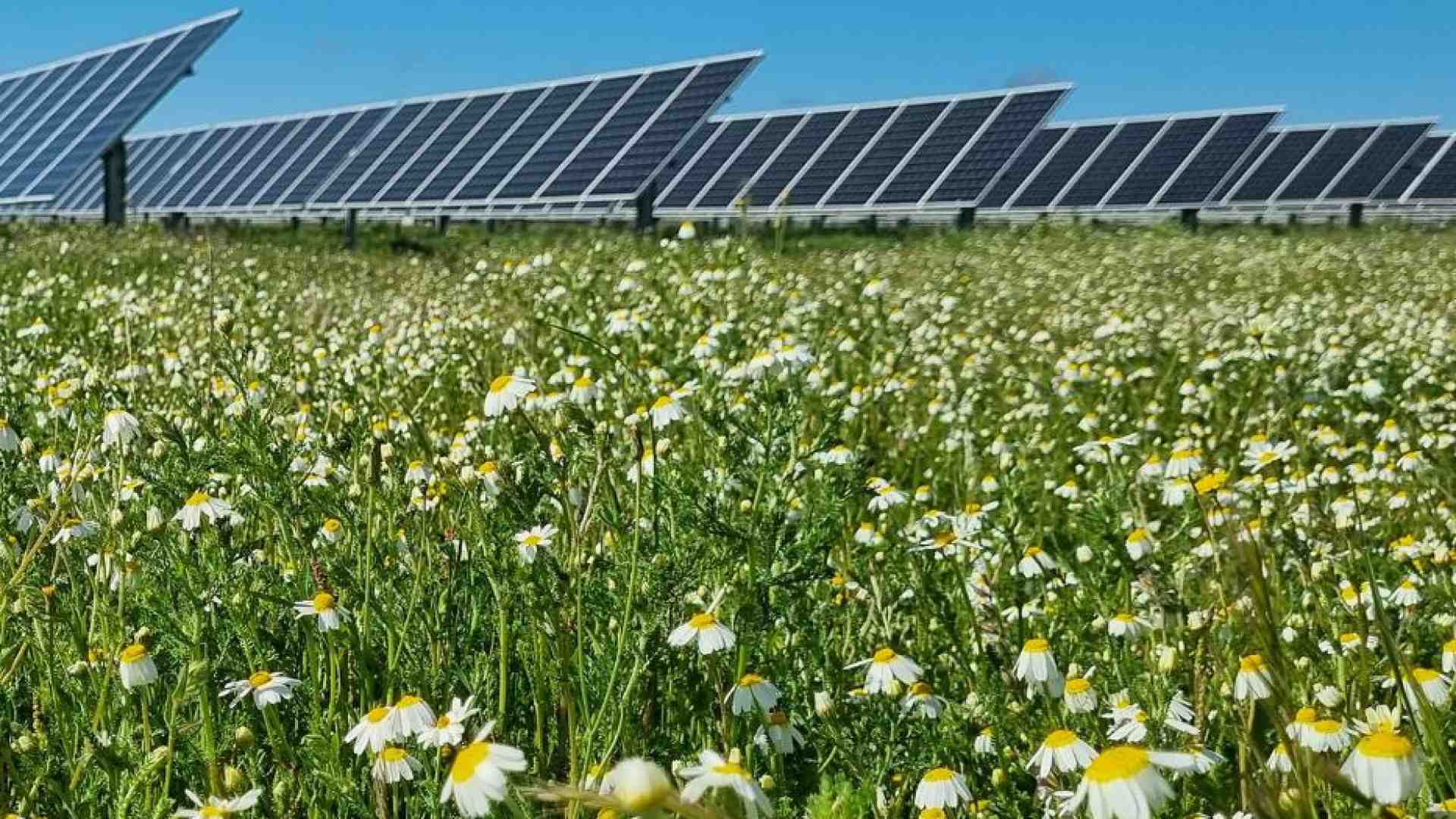 Studio Ambrosetti: «Il 77% delle imprese in difficoltà coi bandi Pnrr»