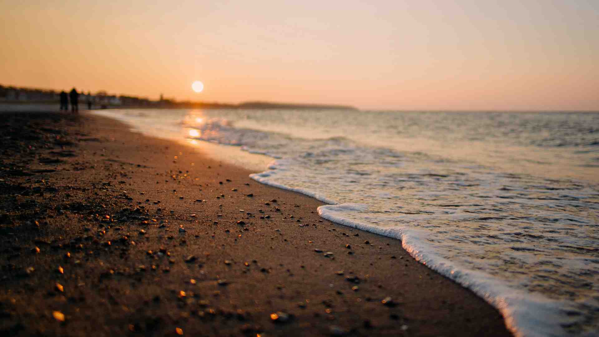 Starnone e la magia di scrivere e di desiderare