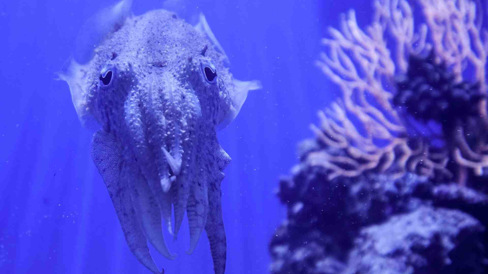 Calo della fertilità: quando l'uomo è umiliato è ovvio diventi infecondo