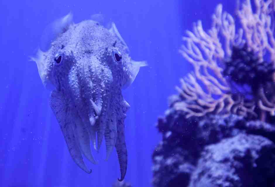 Calo della fertilità: quando l'uomo è umiliato è ovvio diventi infecondo