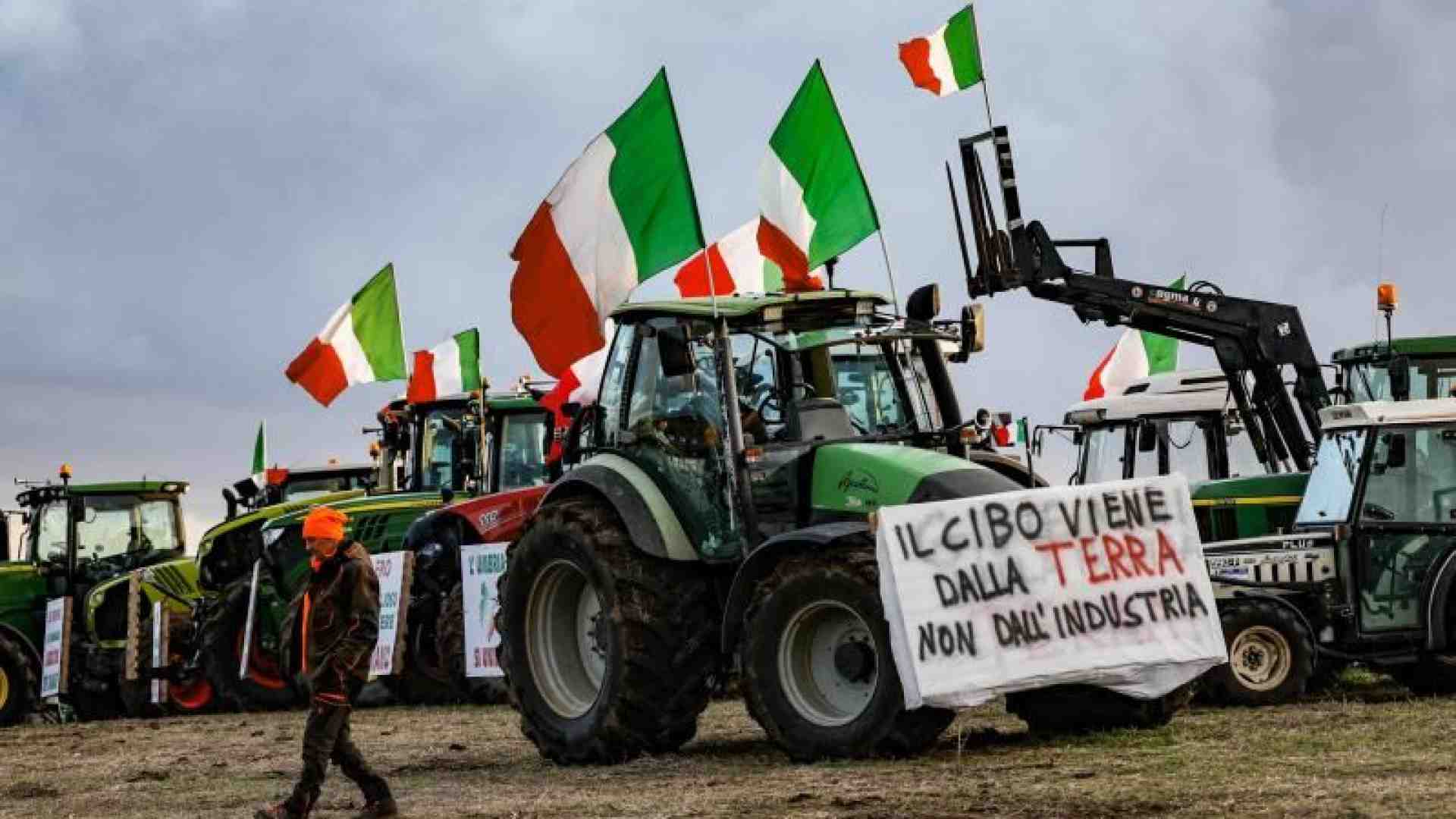 «Obiettivi del Green Deal non impossibili ma l’Ue sostenga gli agricoltori»