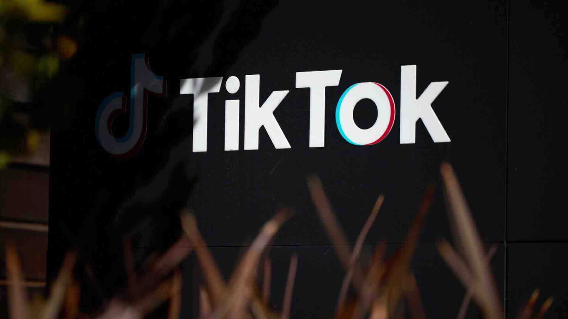 L'Ue contro TikTok