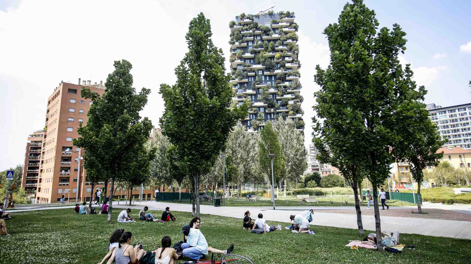 Una città da sfalciare. Fatti, pregiudizi e dibattiti sull’erba alta