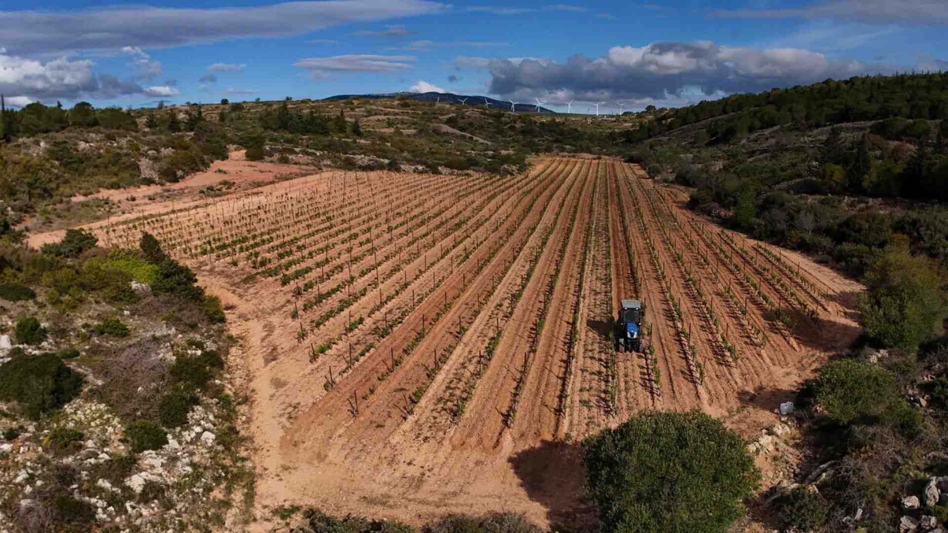 Il governo coltiva il consenso degli agricoltori a colpi di sconti fiscali