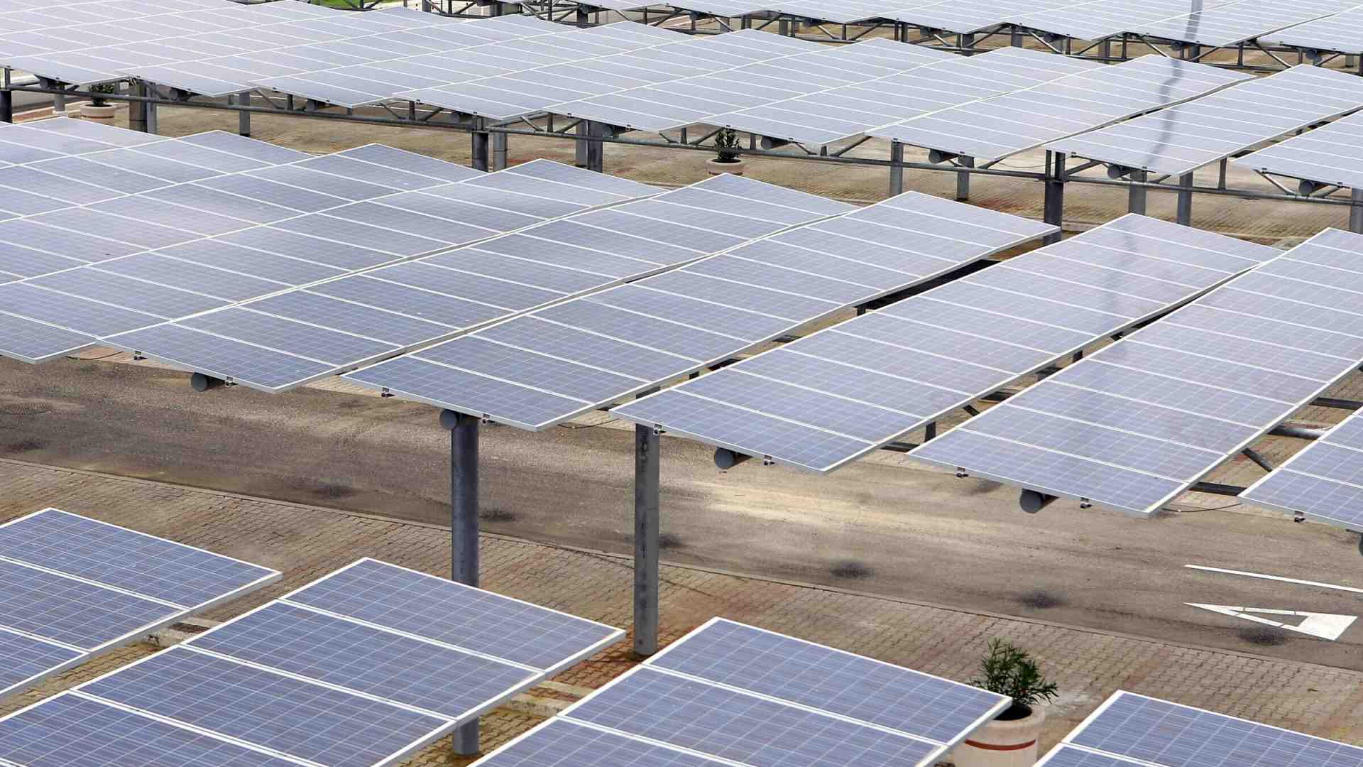 Ambientalismo a parole: nei fatti Schlein si schiera contro il fotovoltaico