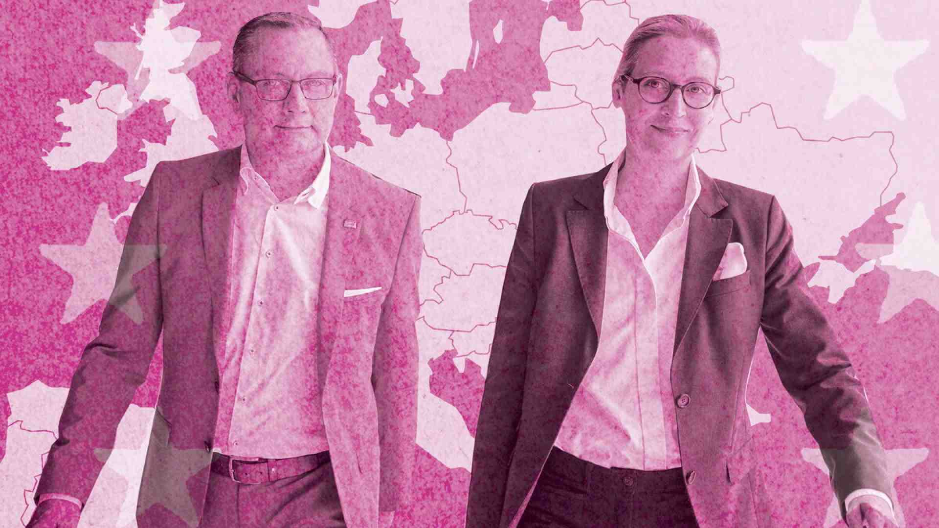 Il tracollo dell’Afd, tra scandali e soldi russi e cinesi