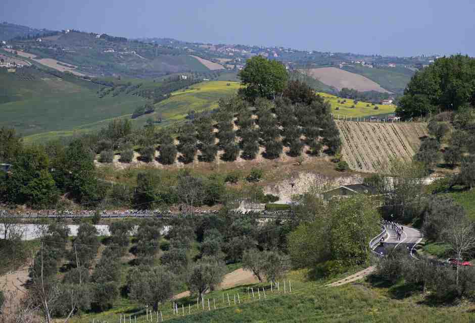 Il Giro d'Italia tra centerbe, camosci, genziane e un’effimera Maglia rosa