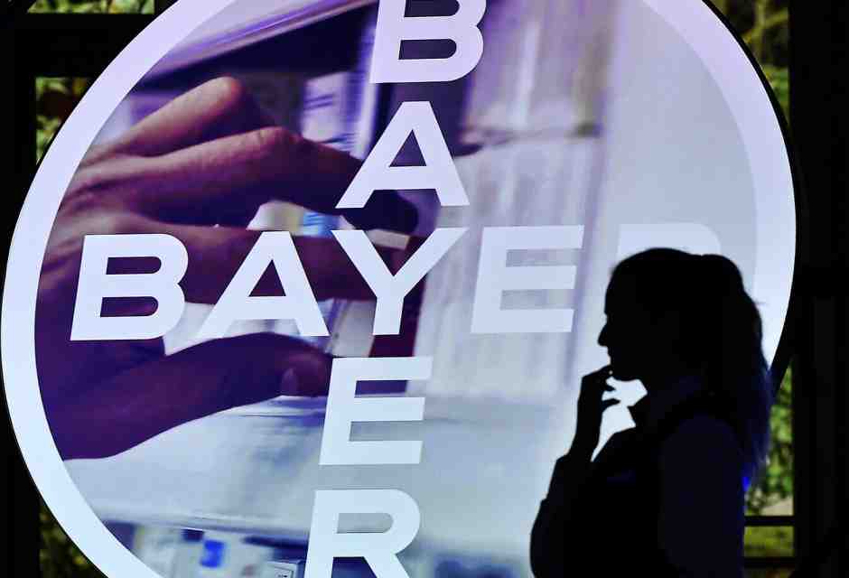 Bayer ride, Bayer piange