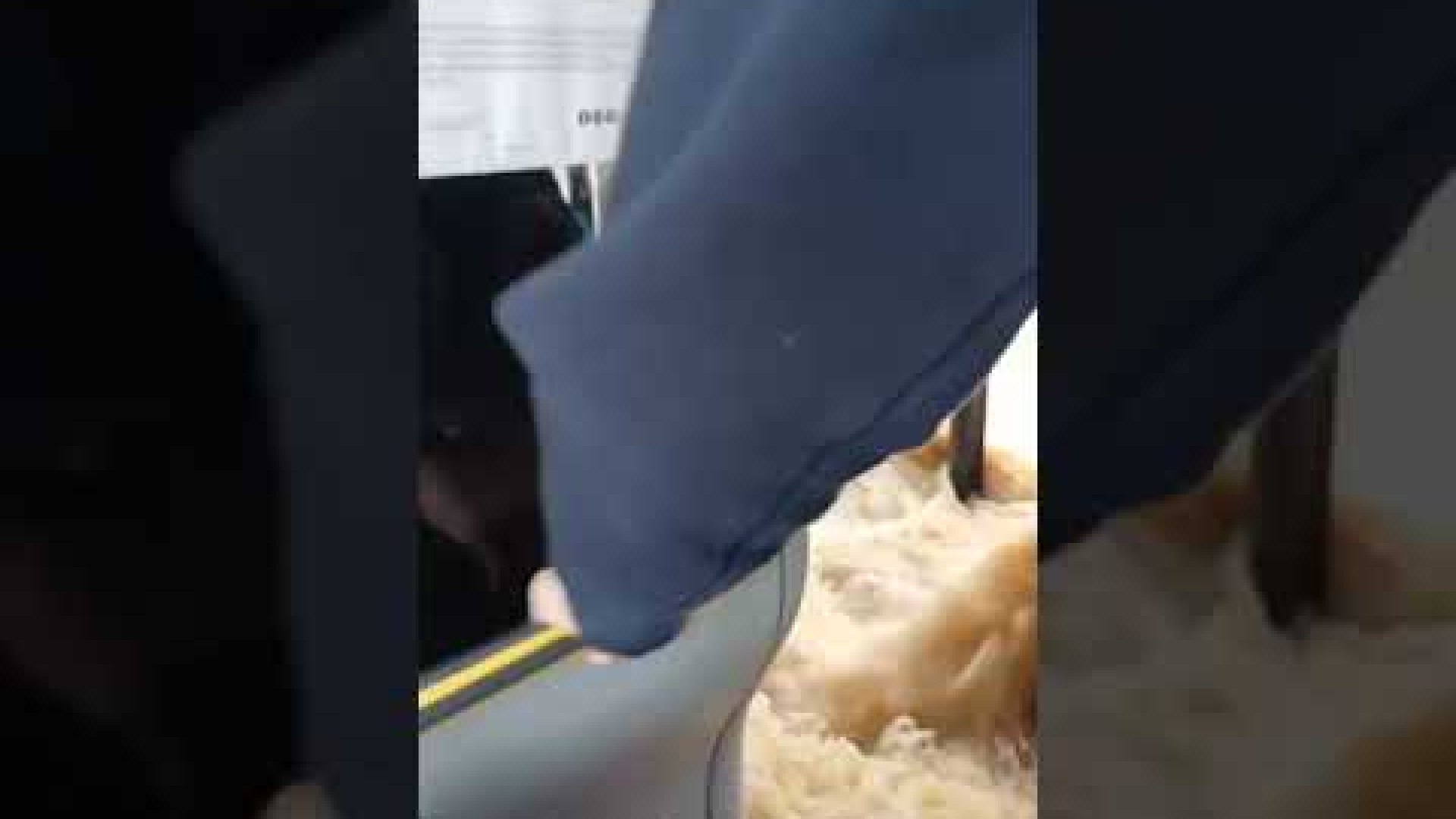 Nubifragio sulla Lombardia: esondano Lambro e Seveso, paura a Gessate