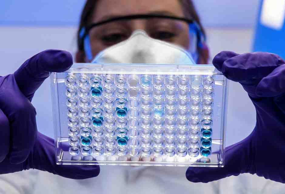 I virus e lo stress: come il viroma influenza il comportamento umano