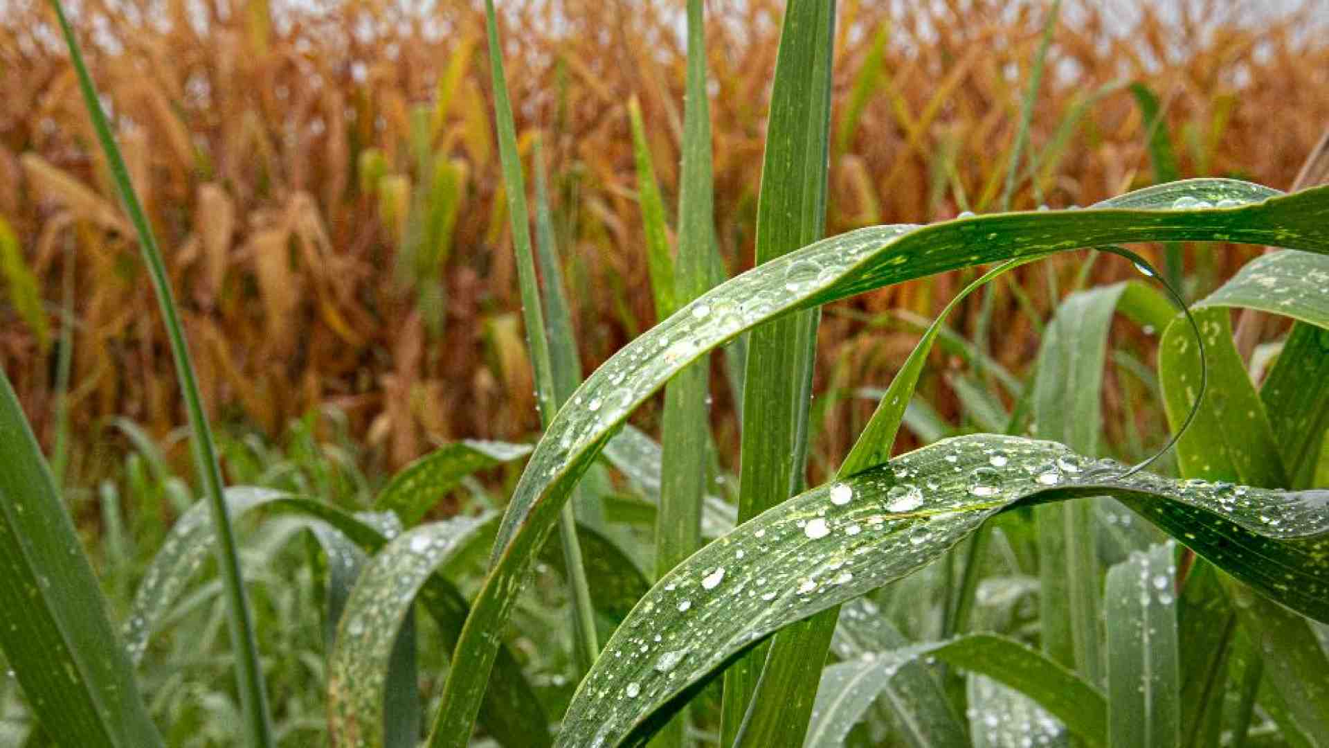 Il riscaldamento climatico è una bufala? La nostra risposta a un lettore