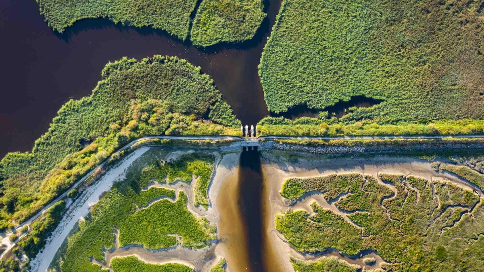 Che cos'è davvero la biodiversità? Alcune risposte