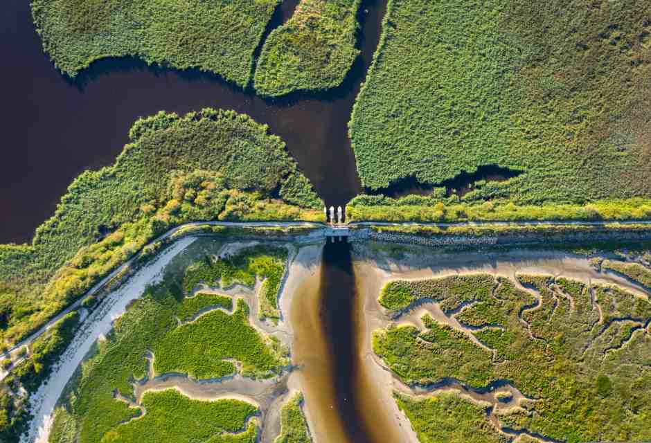 Che cos'è davvero la biodiversità? Alcune risposte