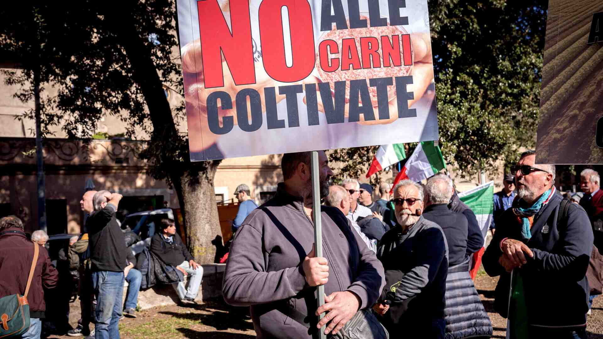 Perché la carne coltivata è fuori mercato. Per ora