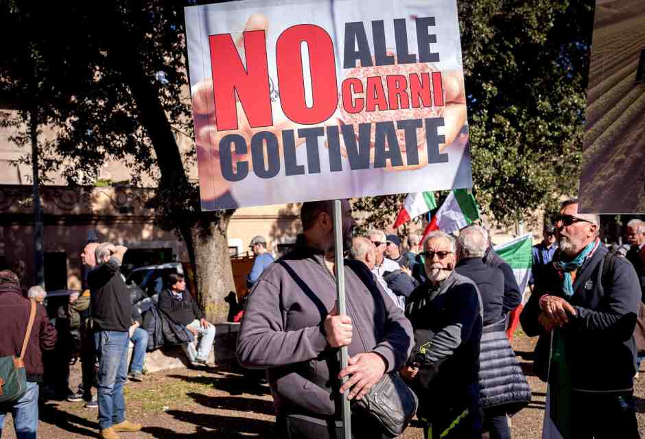 Perché la carne coltivata è fuori mercato. Per ora