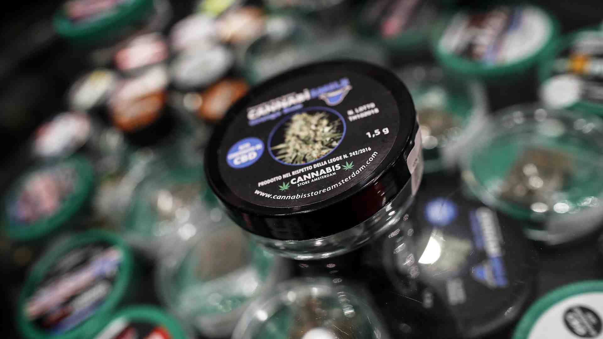 Sulla cannabis light il ministro Urso sbaglia: "A rischio 3 mila imprese. Non siamo spacciatori"