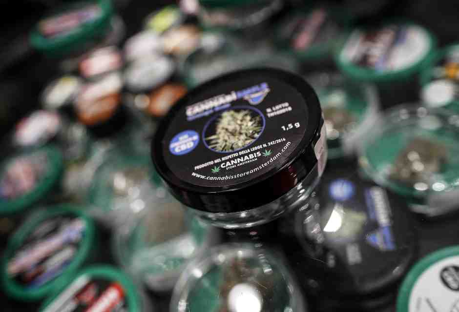 Sulla cannabis light il ministro Urso sbaglia: "A rischio 3 mila imprese. Non siamo spacciatori"