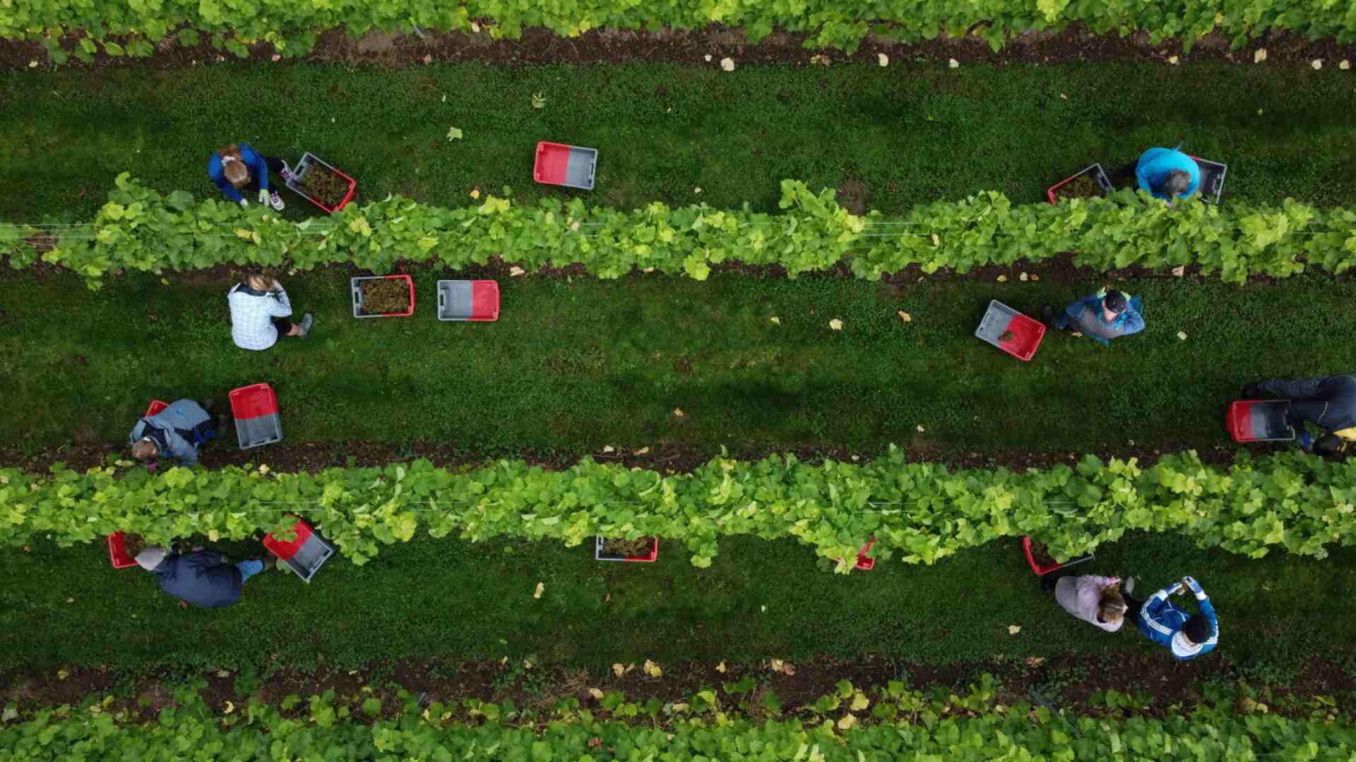 Biodinamica e scienza: un problema di comunicazione?