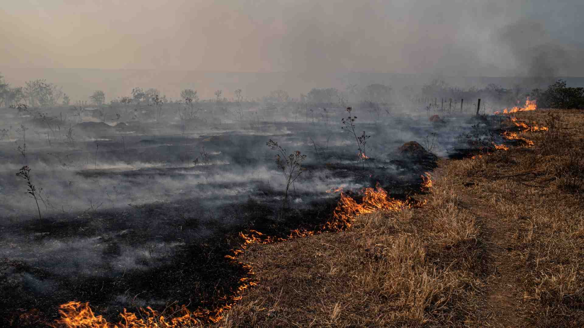 Dopo la catastrofe e l’annichilimento. Cosa significa vivere da sopravvissuti