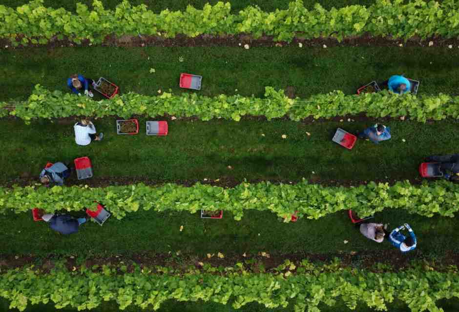 Biodinamica e scienza: un problema di comunicazione?