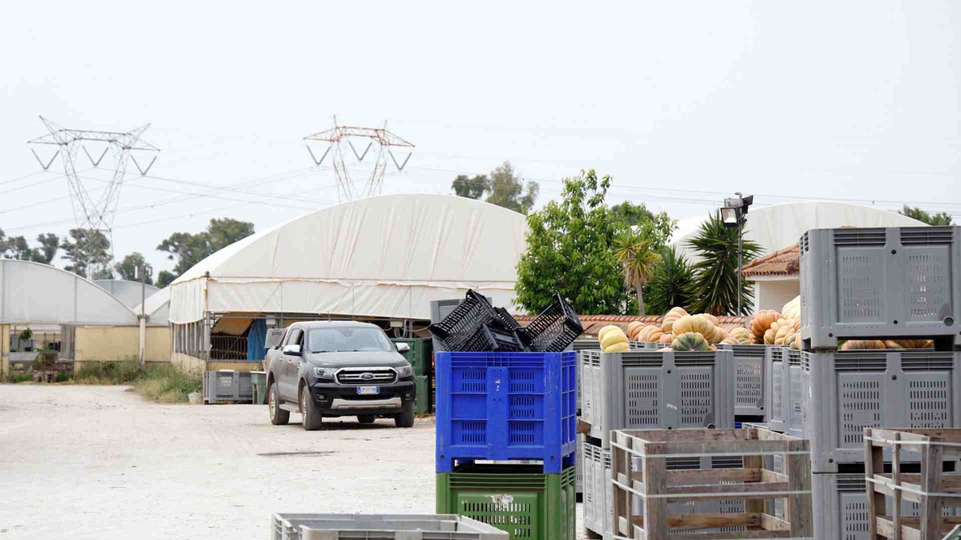 Il dramma di Satnam Singh ci ricorda che, in agricoltura, si parla troppo poco di produzione