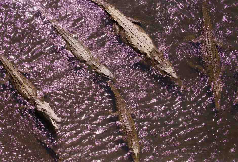 Un punto di vista vitale in un orizzonte funerario: questo è "Paradiso"