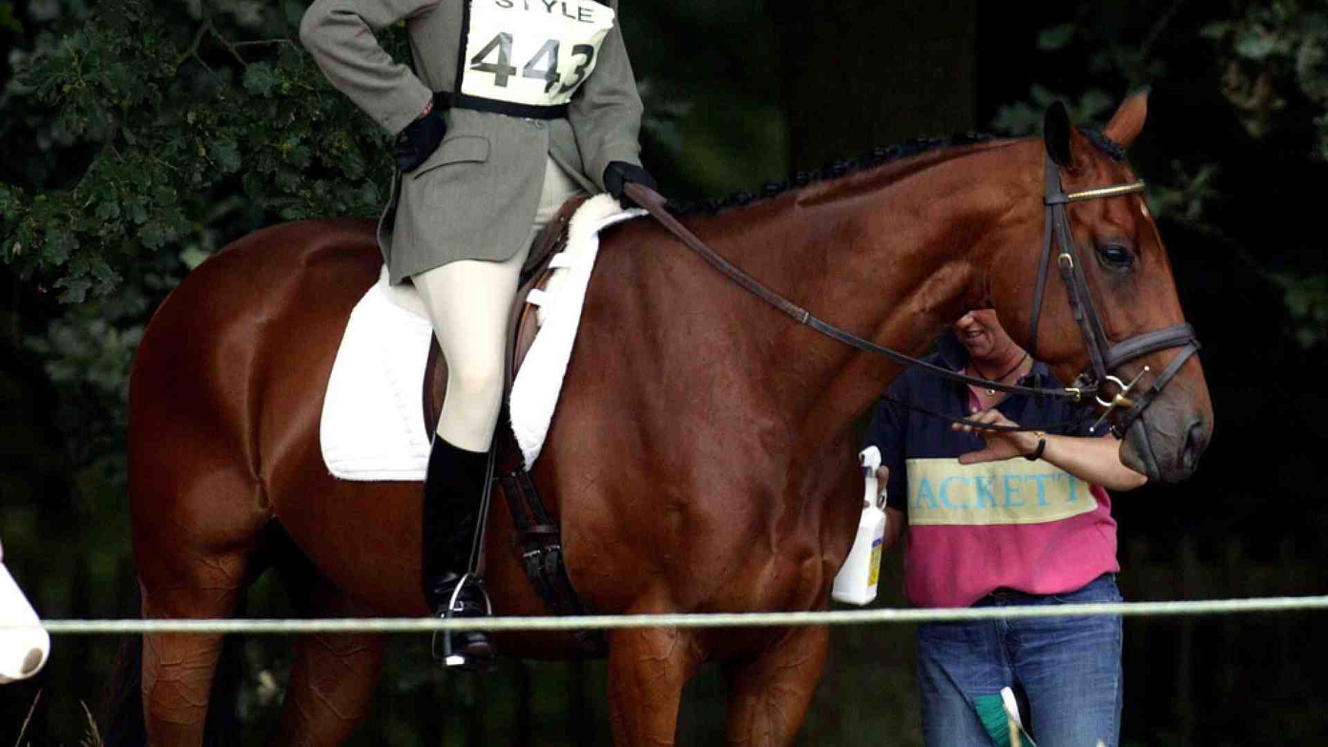 E un cavallo mise fuori combattimento la più stakanovista dei Windsor