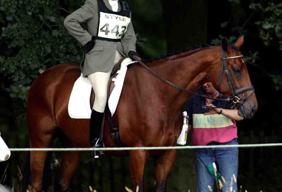 E un cavallo mise fuori combattimento la più stakanovista dei Windsor